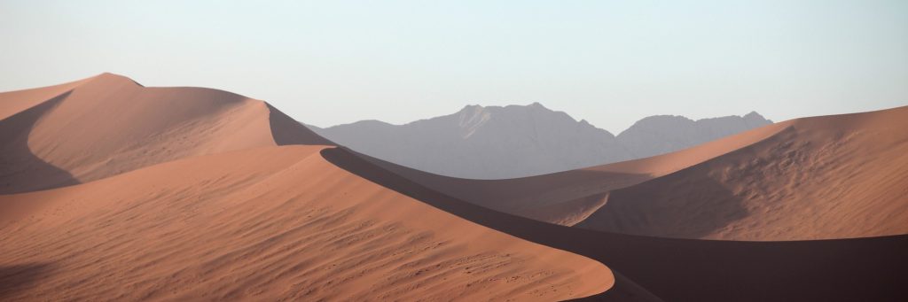 a desert landscape