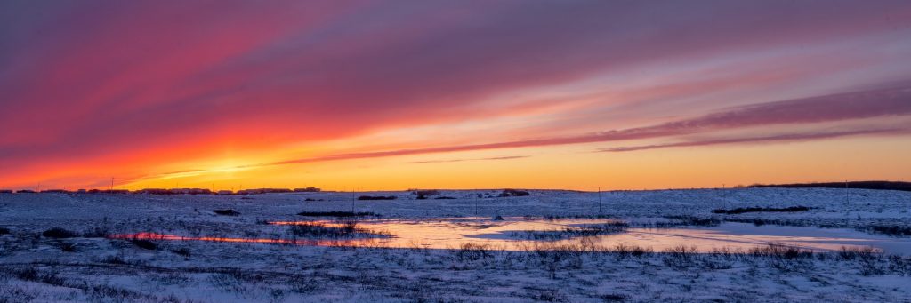 Call of the Wild by Jack London Audiobook Chapter Two